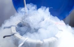 冻胚移植要多少钱？全面剖析费用构成，助你科学规划生育路