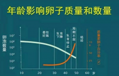 女性年龄对试管有什么影响？盘点不同年龄段成功率！