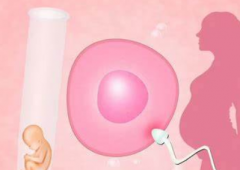 广州单身做试管私立机构排名出炉：费用、技术、服务全方位对比