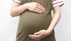 供精人工授精全流程揭秘：从筛选精子到成功受孕的每一步！