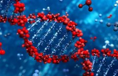 精子畸形率高达90%，试管之路是否可行？