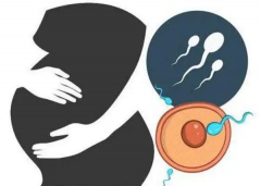 孩子16号染色体缺失，可能会面临哪些身体与发育上的异常？全面解析