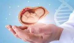 全面解析：如何有效改善人工周期的内膜形态以提升试管成功率