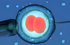 大龄单身未婚做试管双胎多少钱？2025年试管双胞胎收费公布20万起！