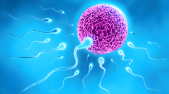 科普来了！2025年海外单身女性买精生子费用及试管生育流程详解！