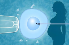 2025年上海试管收费贵吗？普通家庭是否能负担得起？