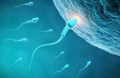 提高试管着床成功率：科学备孕与精心调养的双重保障