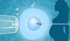 上海三代试管私人机构排名：2025年最新榜单揭晓！