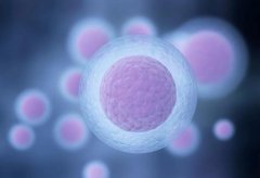 ‌试管新视角：10个卵泡的备孕女性如何把握希望？