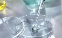 2025年成都HIV试管费用范围：HIV患者做试管要花多少钱？