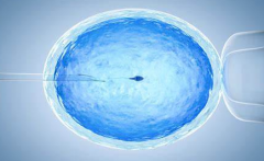 成都私立医院试管无结婚证多少钱？附费用明细及医院推荐