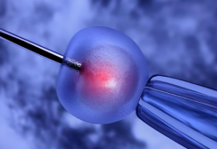 北京试管双胞胎一次成功多少钱？2025年费用明细一览！