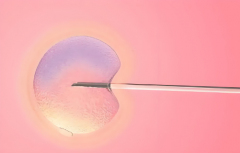 2025年成都第三代试管包生要准备多少钱？附各环节费用明细一览！