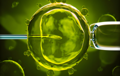 2025年北京市三代试管费用概览：平均费用约20至35万元！