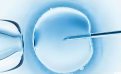 成都试管助孕生子大约要花多少钱？2025年三代试管费用参考！