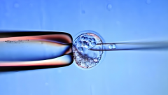 成都私立机试管包成费用（成都2025年私立机构三代试管包成费用明细一