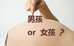 想要三代试管包成功生'男'孩？最新费用详情和全程保障让你无忧！