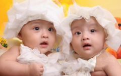 深圳做试管可以怀双胞胎吗？深圳做试管怀双胞胎的条件与费用一览！
