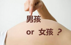 上海哪里可以做试管选男女？上海试管选择性别的医院排名榜汇总！