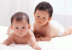 郑州试管包生双胞胎男孩多少钱？2025年价格及流程全揭秘！