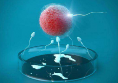 无精症试管医院推荐：北医三院、上海仁济等热门选择！