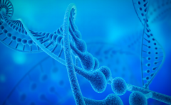 东莞失独家庭试管费用揭秘：一次成功需花多少钱？