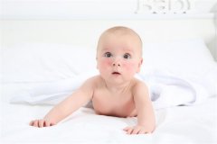 大龄绝经女性试管生育指南：供卵选择与成功率解析！