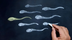 梗阻性无精症做试管需要禁欲吗？附禁忌事项和科学方案！