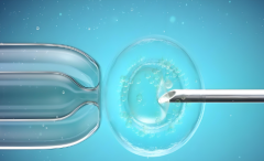 辽宁铁岭第三代试管真相：高龄家庭必看指南！